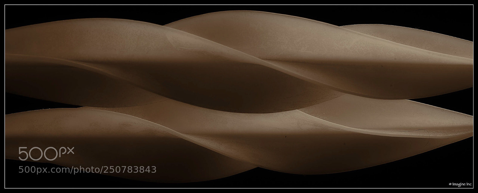 Nikon D810 sample photo. Untitled photography