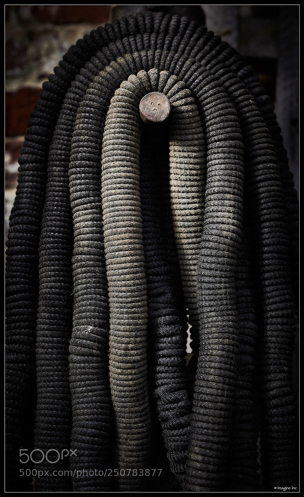 Nikon D810 sample photo. Untitled photography