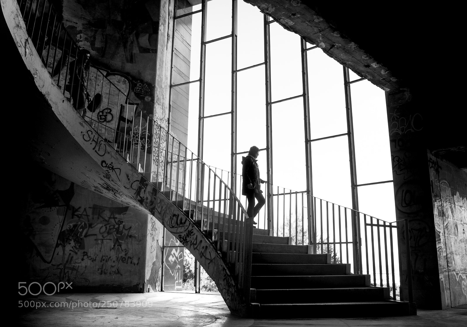 Nikon D5000 sample photo. Black grey or white photography