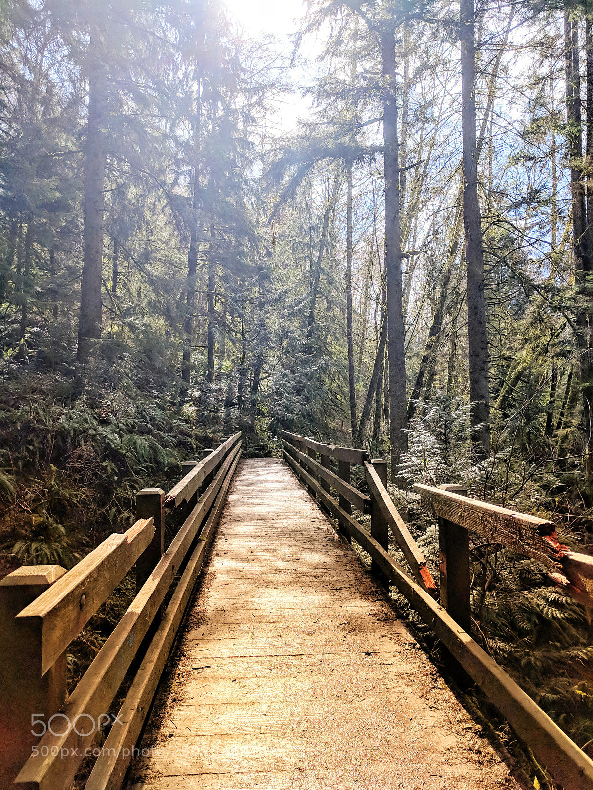 Google Pixel XL sample photo. Just another bridge picture photography