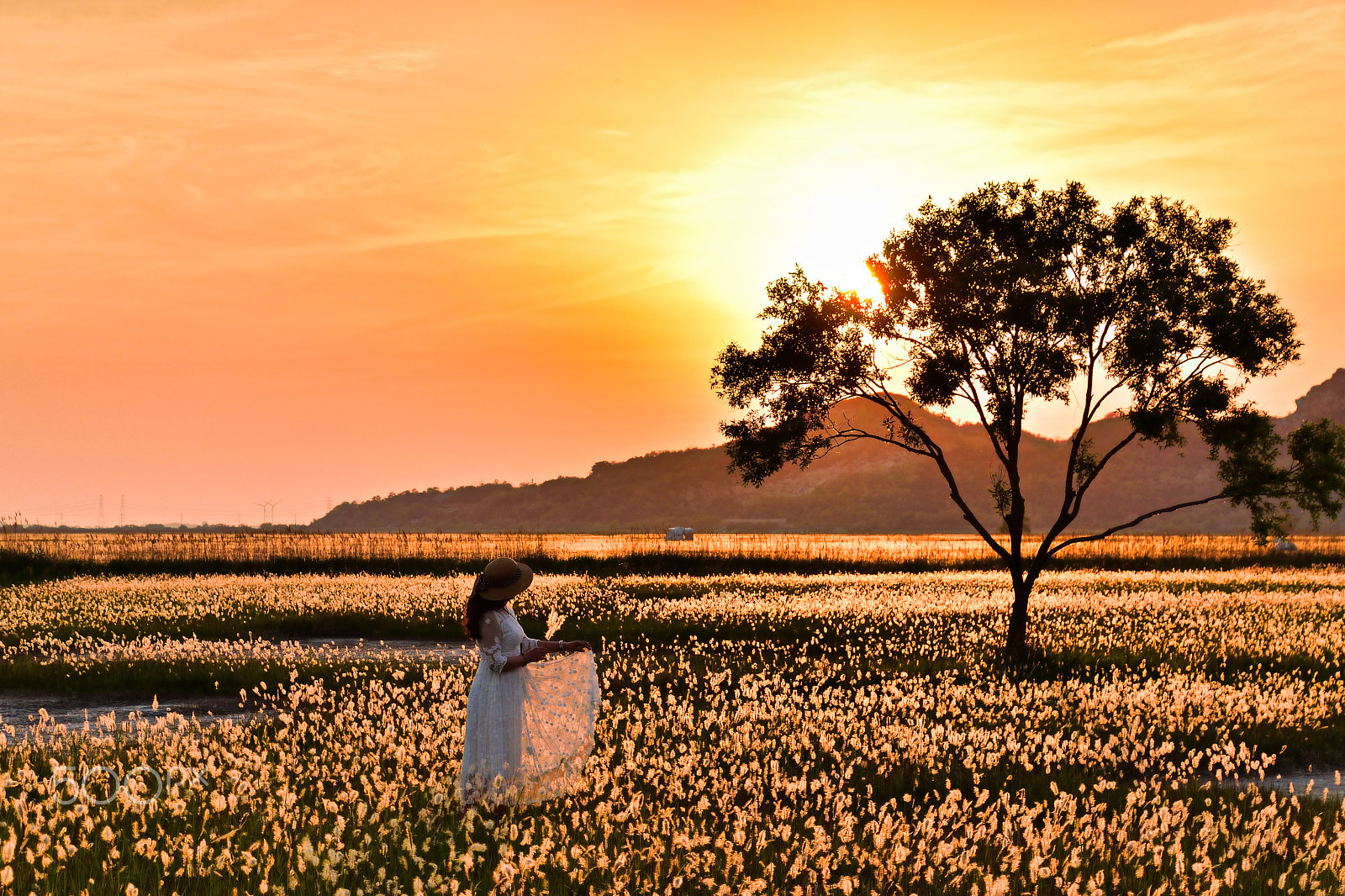 Nikon D5500 sample photo. Lady and the twilight photography