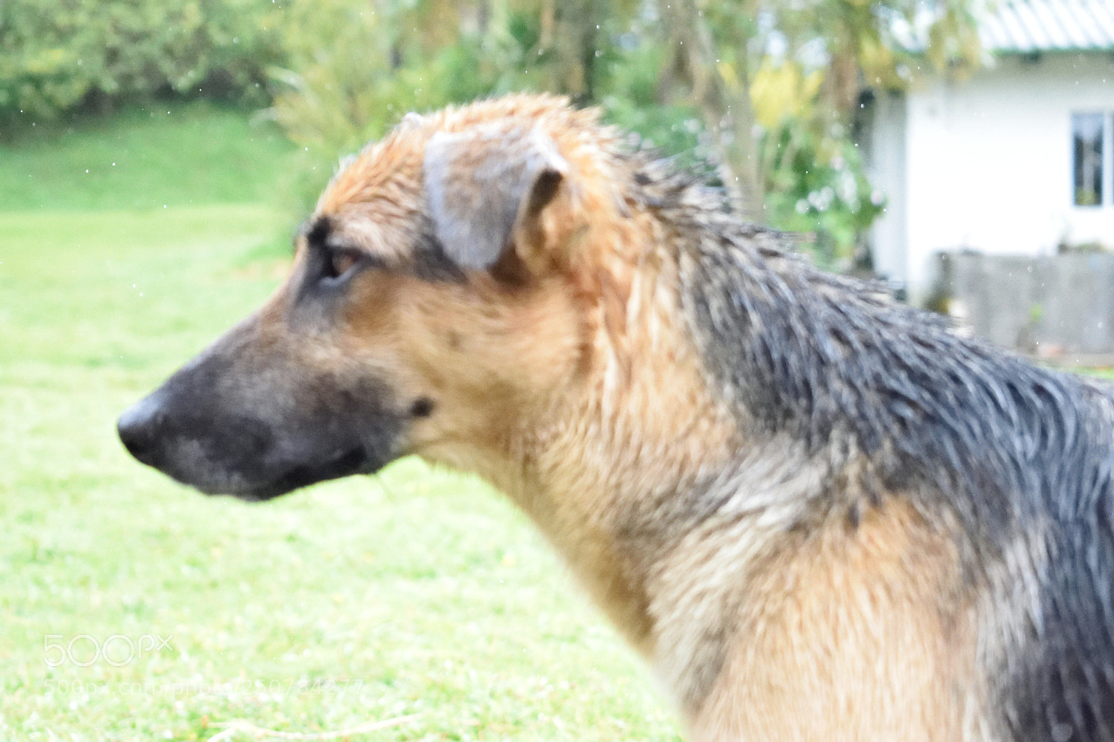 Nikon D3300 sample photo. Sabio photography