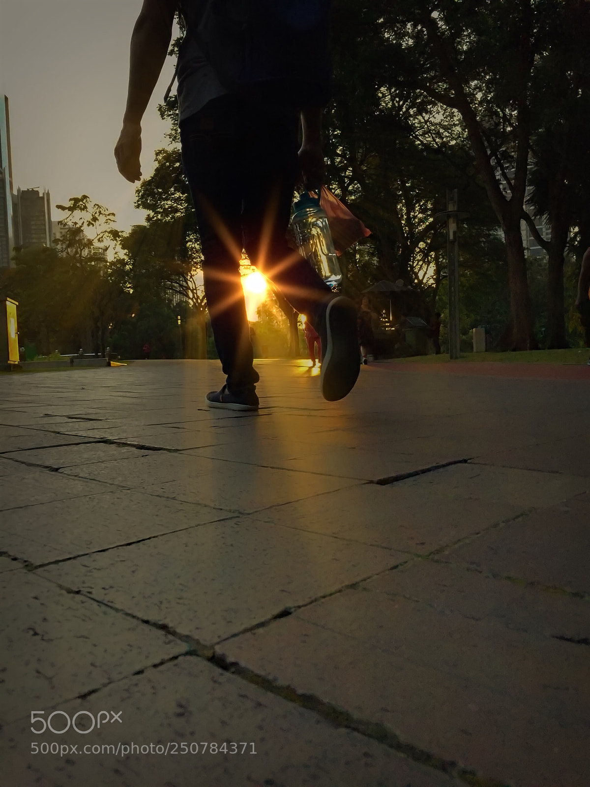 Apple iPhone 6 Plus sample photo. A morning walking  photography