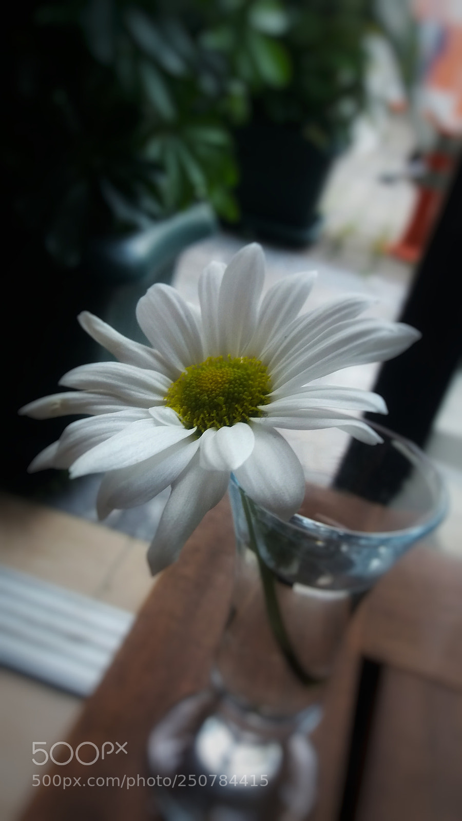 Samsung Galaxy J5 sample photo. Untitled photography