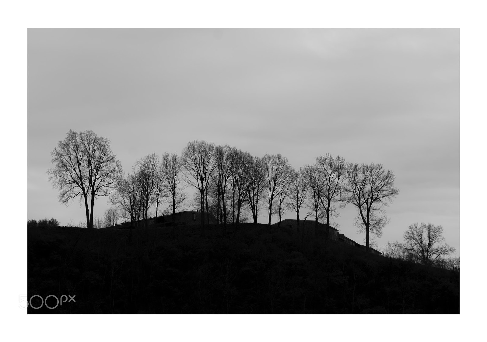 Nikon D7000 sample photo. Untitled ... photography