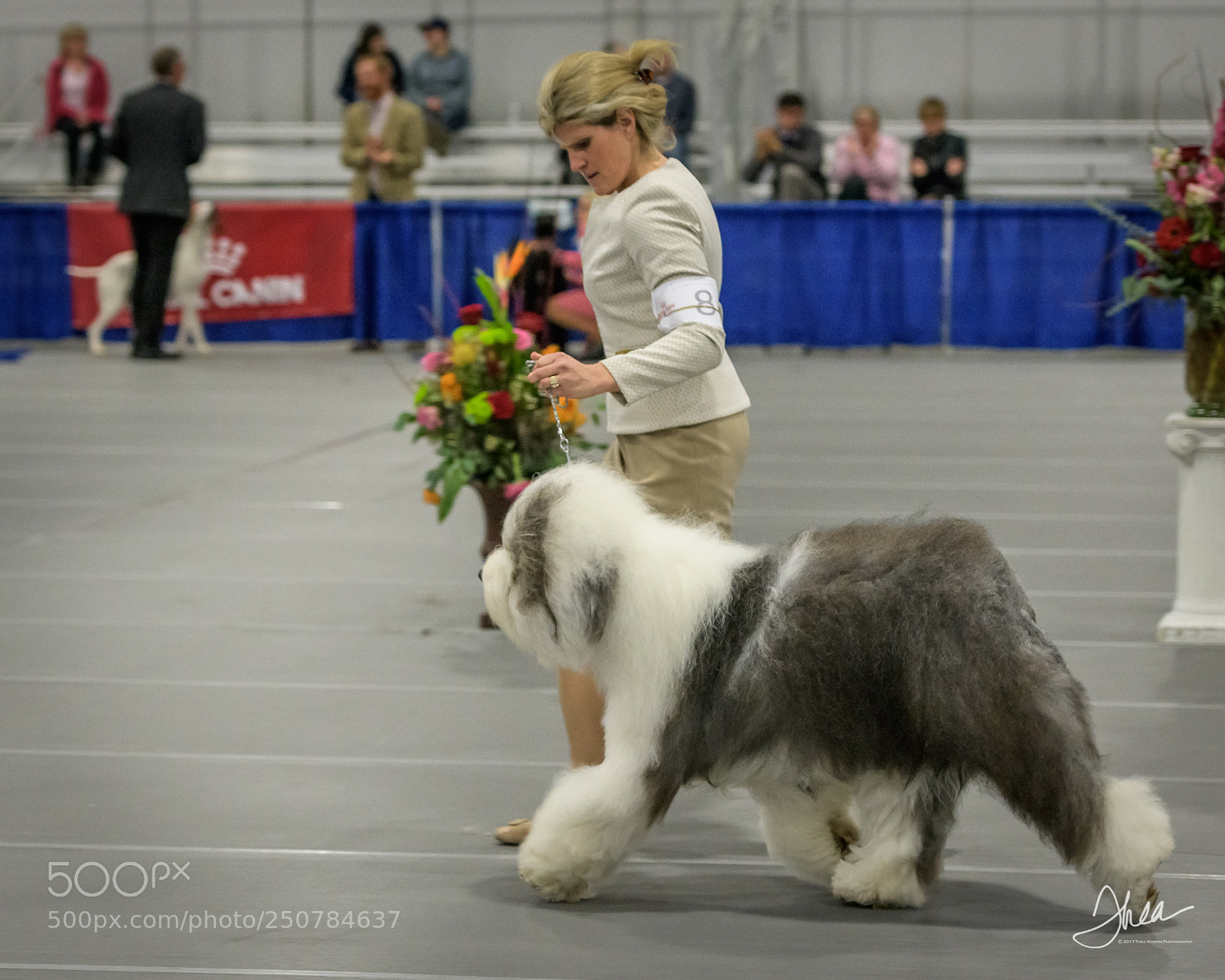 Nikon D850 sample photo. Elsa on her way photography