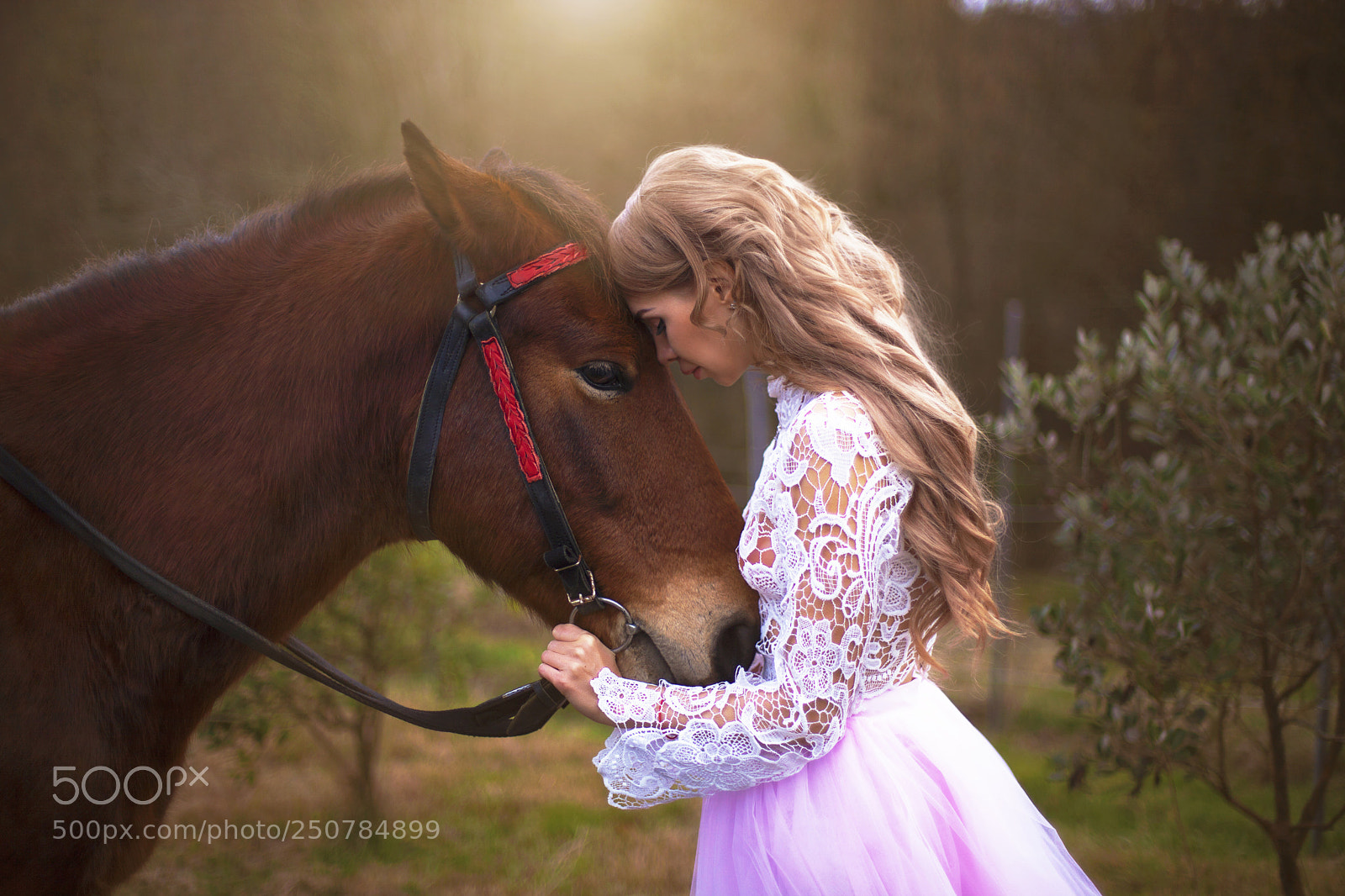 Canon EOS 5D Mark II sample photo. Untitled photography