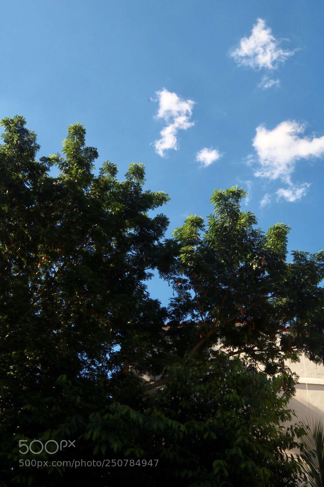 Canon EOS 750D (EOS Rebel T6i / EOS Kiss X8i) sample photo. Casa. photography
