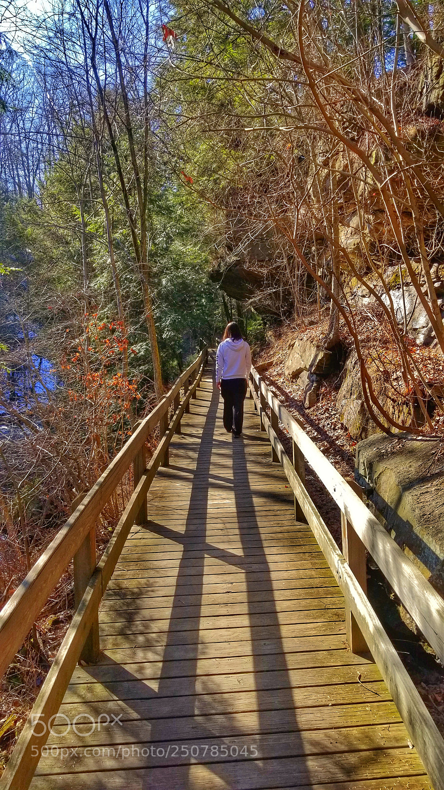 Samsung Galaxy S8+ sample photo. Into the unknown photography