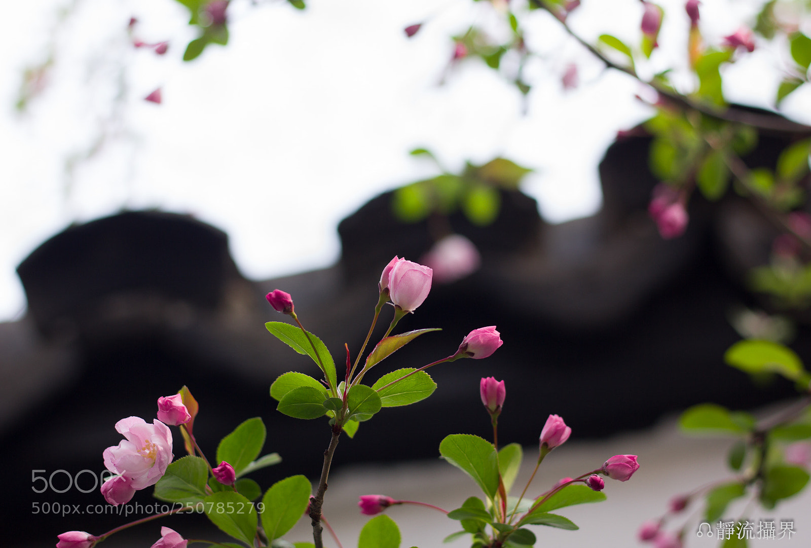 Canon EOS 60D sample photo. Untitled photography