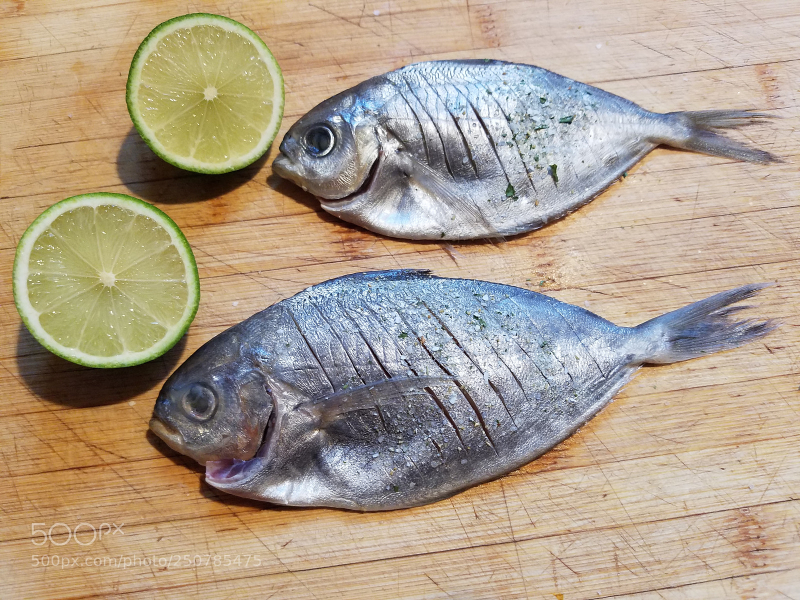 Samsung Galaxy S7 sample photo. Catch of the day photography