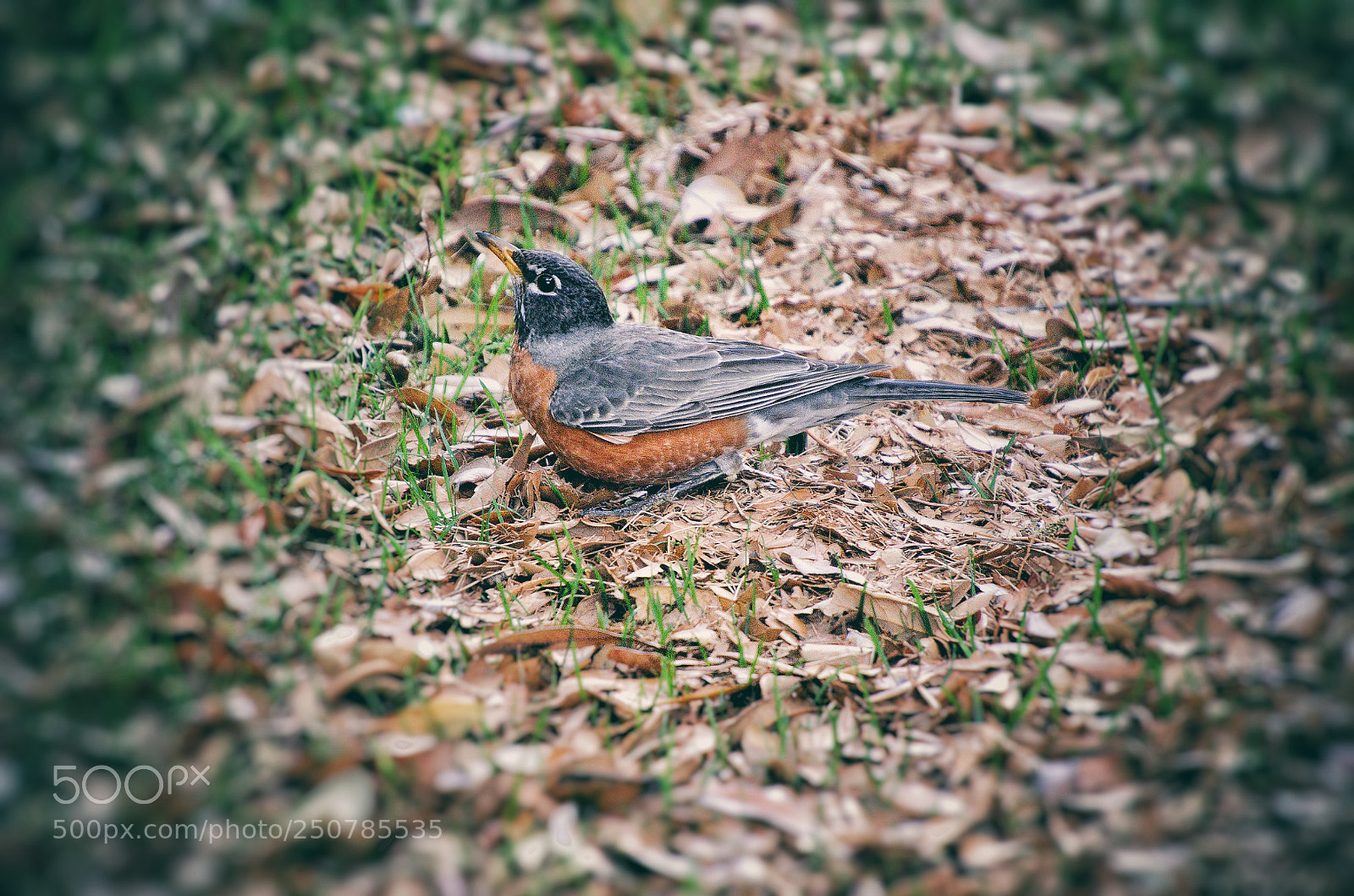 Nikon D5100 sample photo. Abt to take off photography