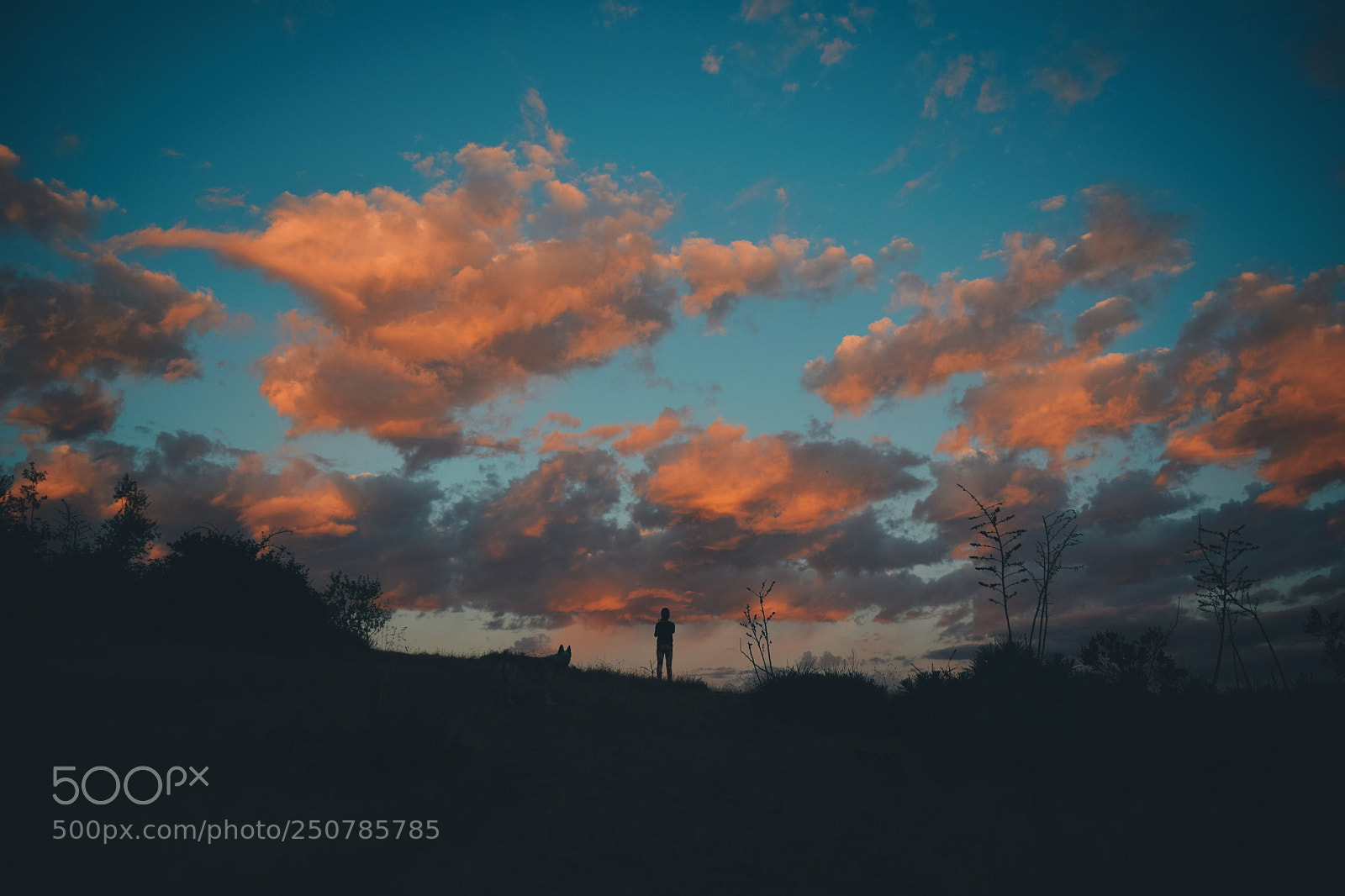Nikon D5300 sample photo. Sunset photography
