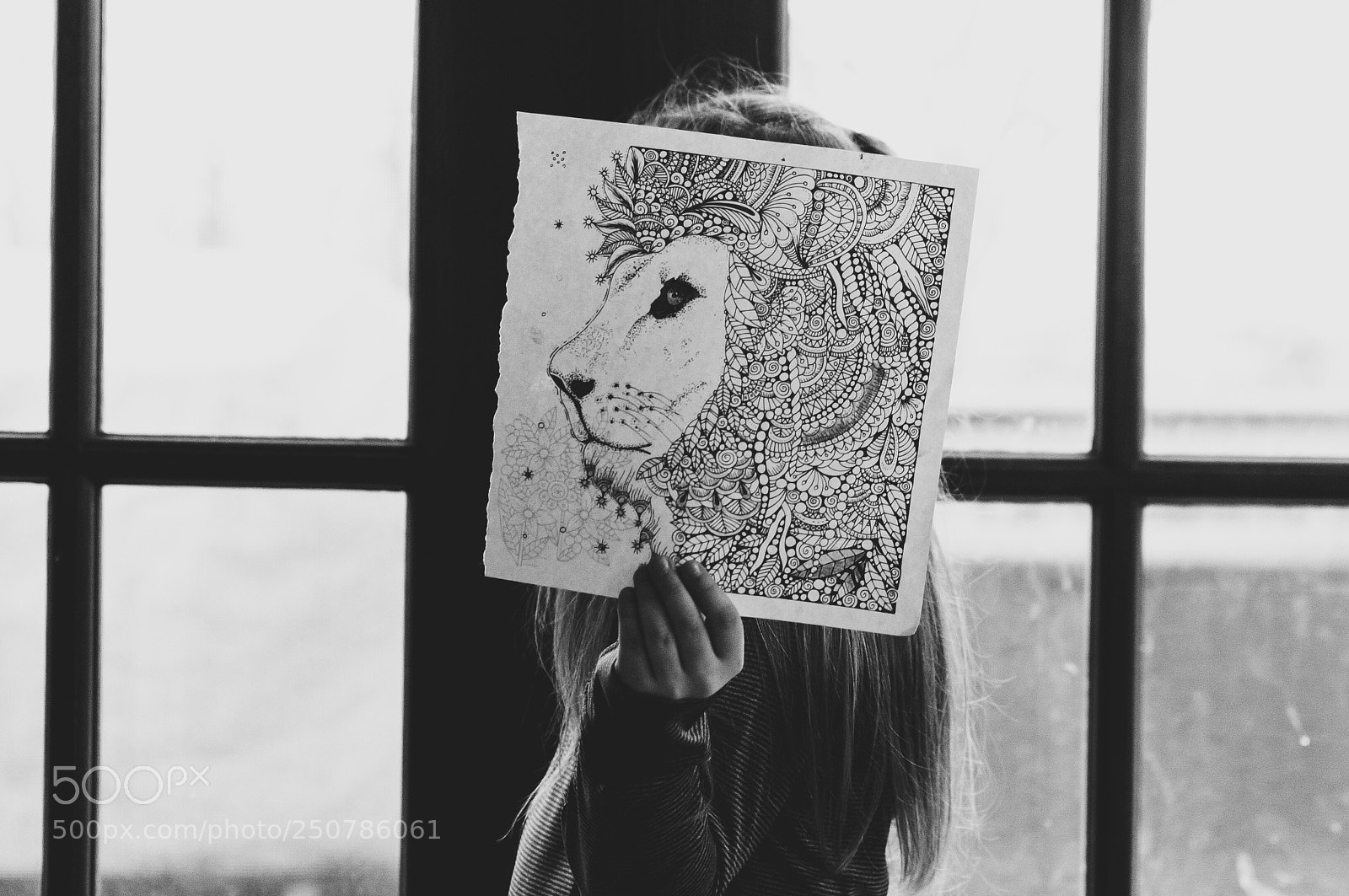 Nikon D5100 sample photo. The lioness  photography