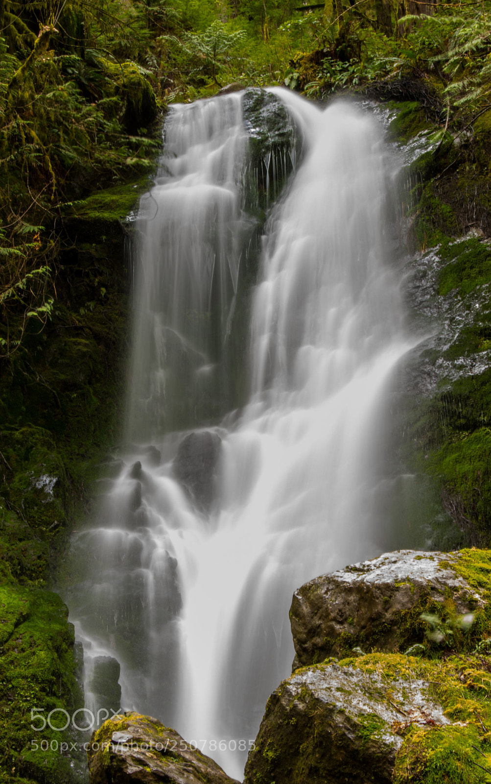 Nikon D7200 sample photo. Bunch falls photography