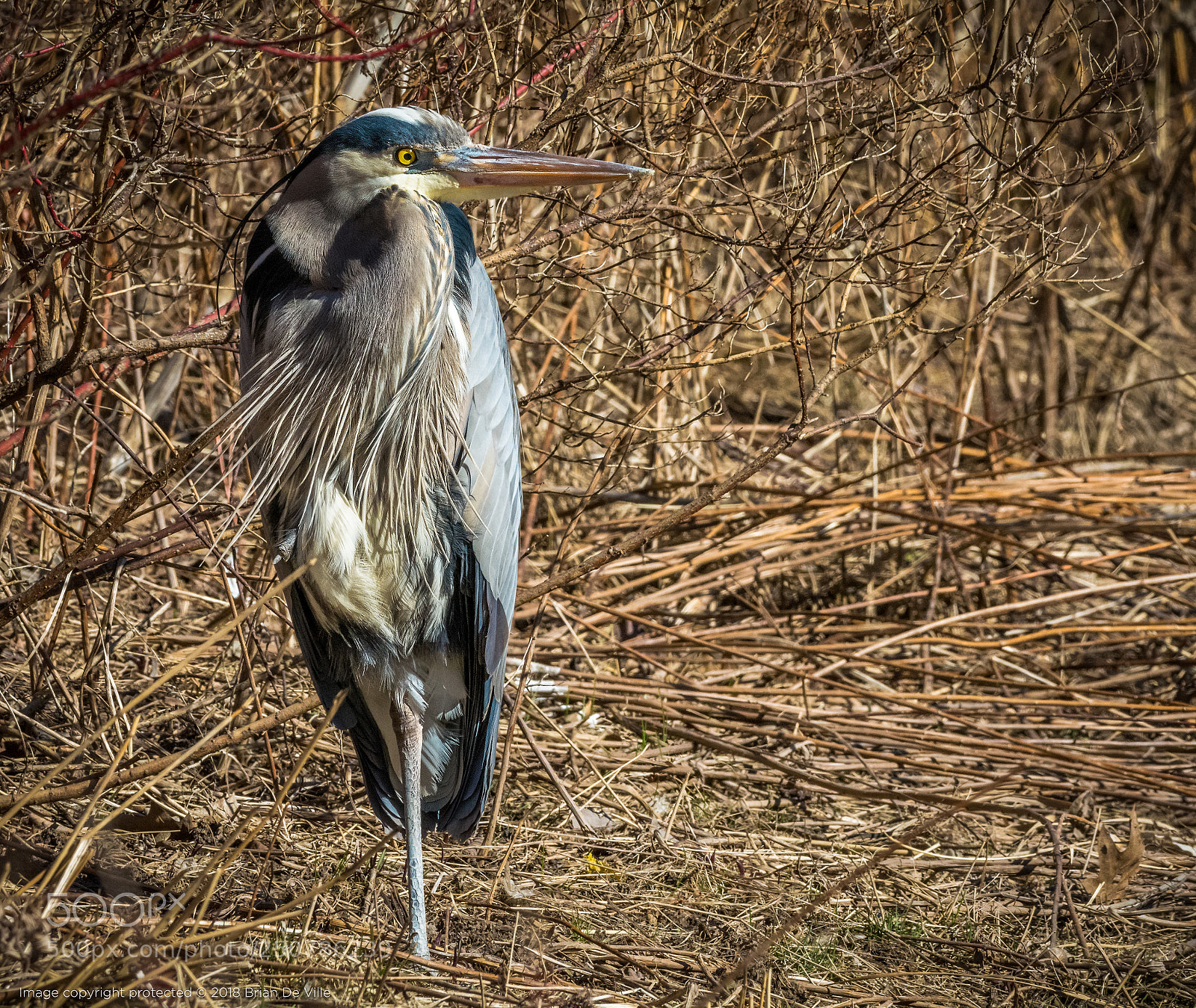 Nikon D7100 sample photo. Perfect balance photography
