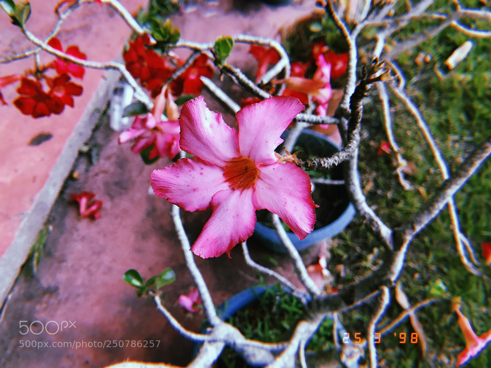 Apple iPhone sample photo. Untitled photography