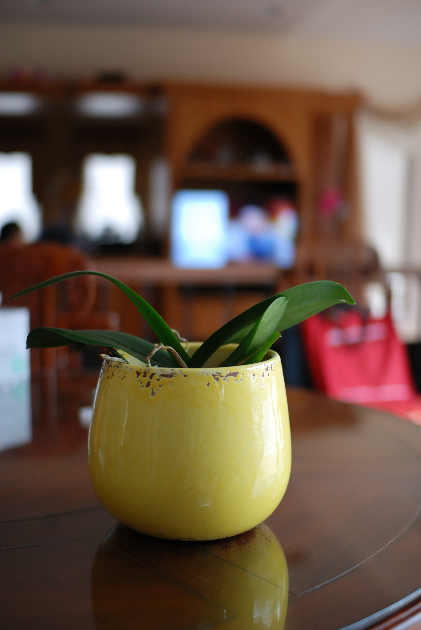Nikon D80 + Sigma 30mm F1.4 EX DC HSM sample photo