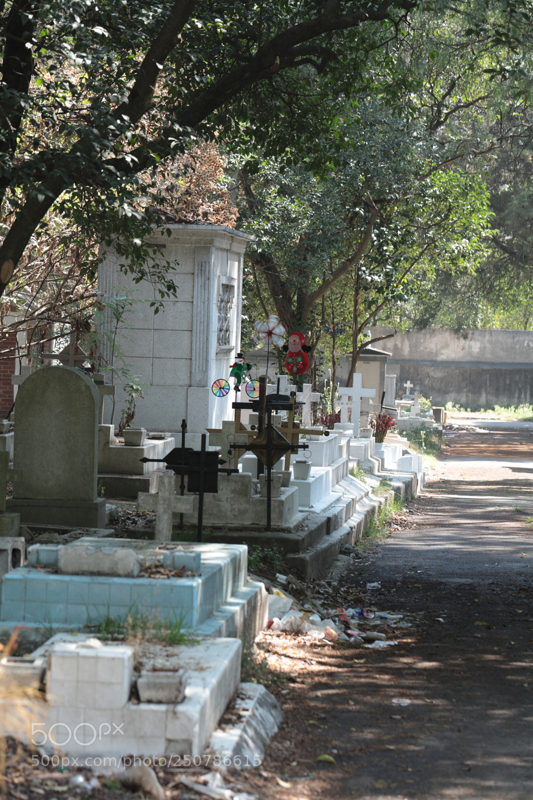 Canon EOS 5DS R sample photo. Here in mexico, death photography