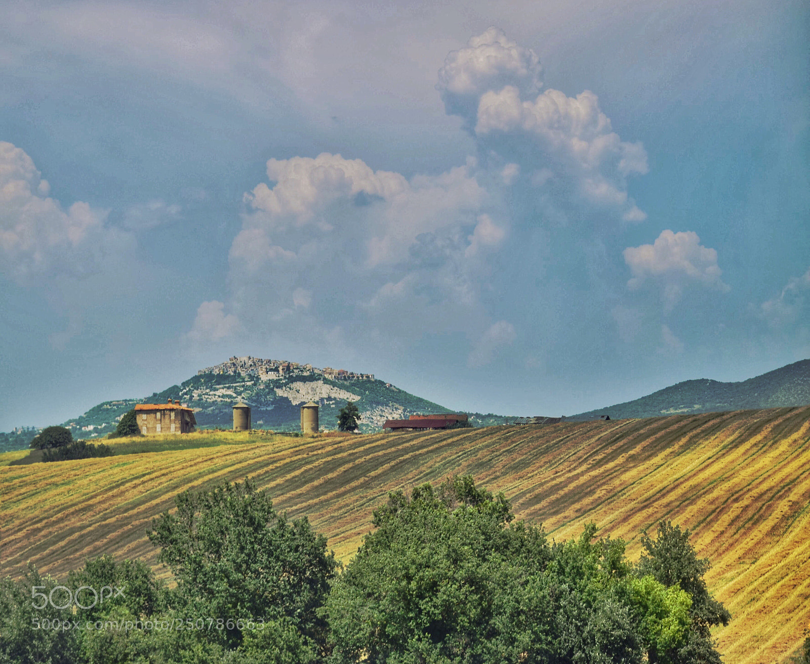 Nikon D5300 sample photo. Agriculture photography