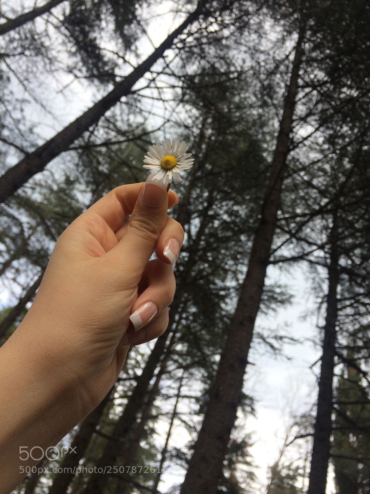 Apple iPhone 5s sample photo. Untitled photography