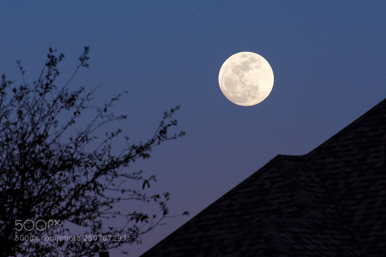 Nikon D7200 sample photo. Moon photography