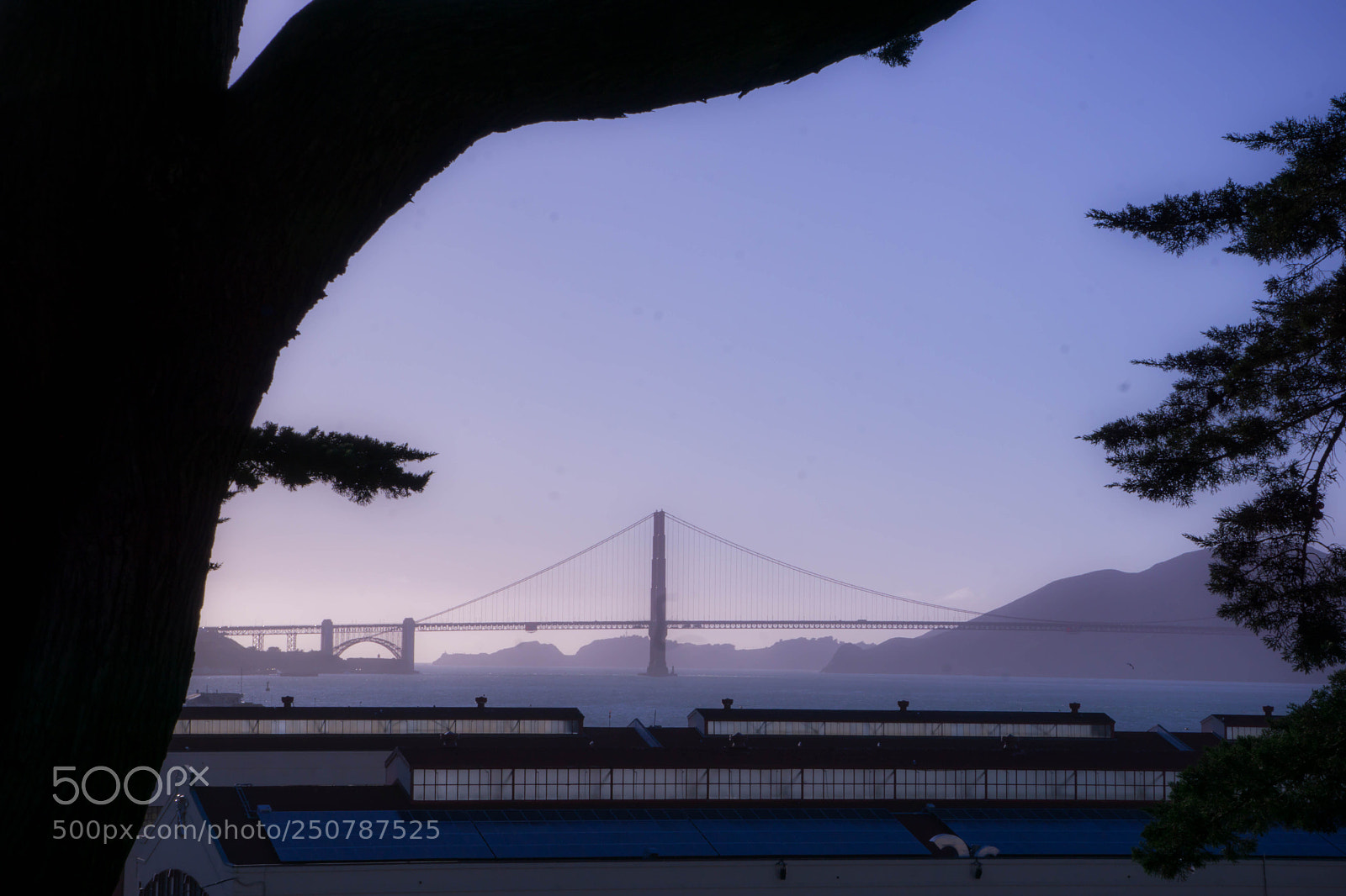 Sony a6000 sample photo. Golden gate photography
