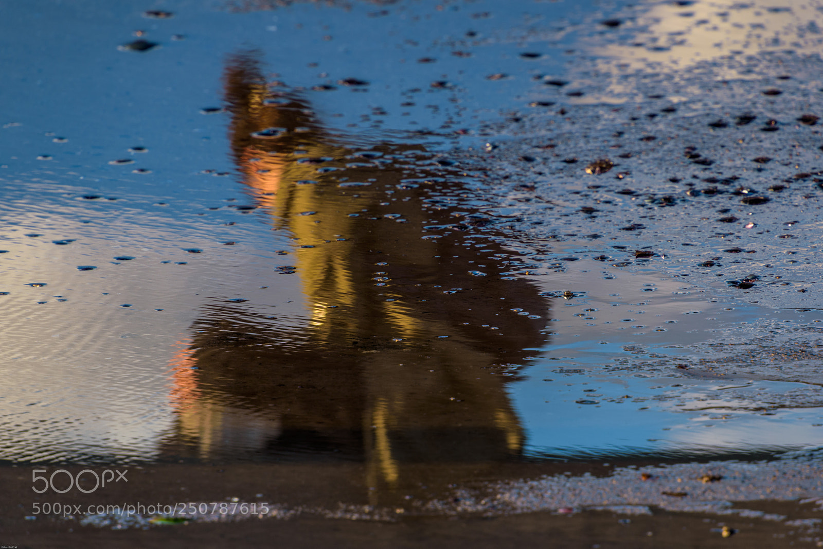 Nikon D5600 sample photo. Reflejo photography