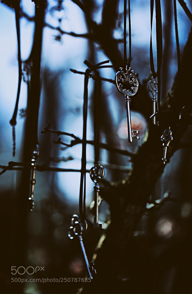 Canon EOS 5D Mark IV sample photo. Neuklein photography