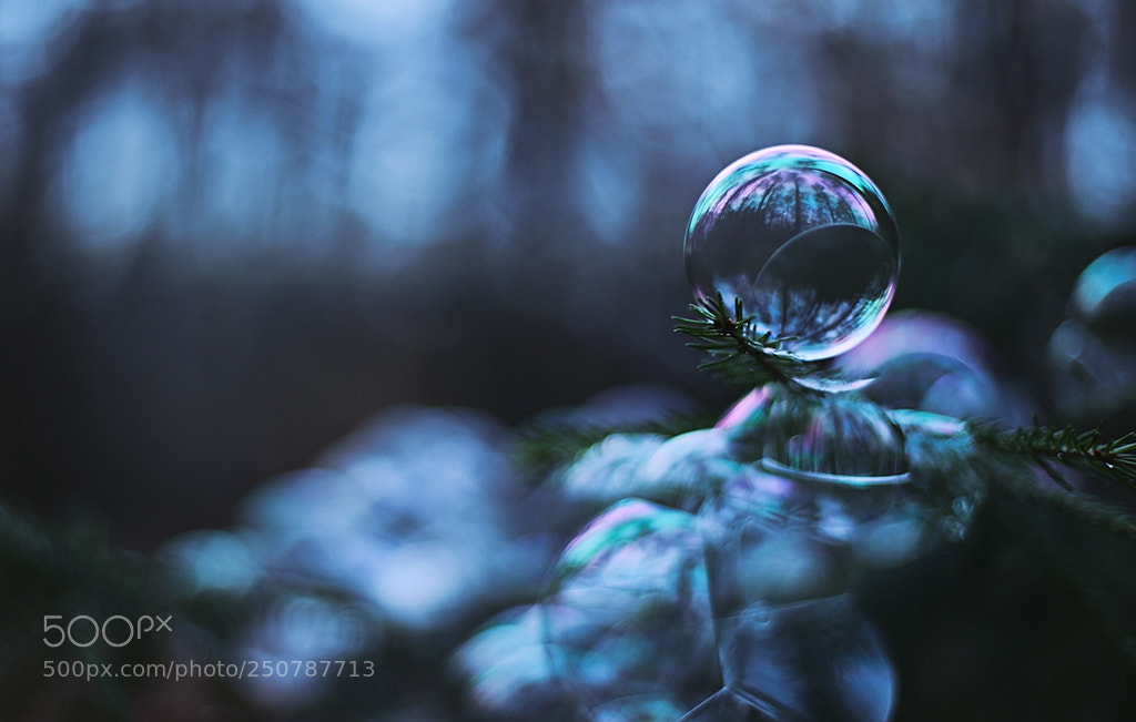 Canon EOS 5D Mark IV sample photo. Neuklein photography