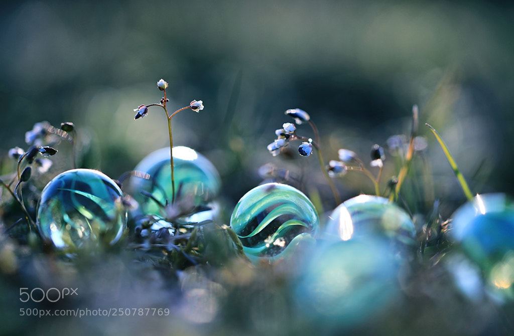 Canon EOS 5D Mark IV sample photo. Neuklein photography