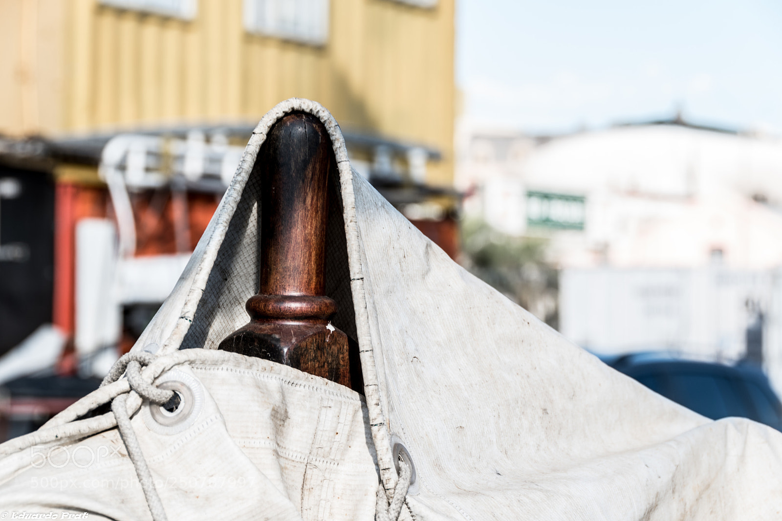 Nikon D5600 sample photo. Capitán miranda photography