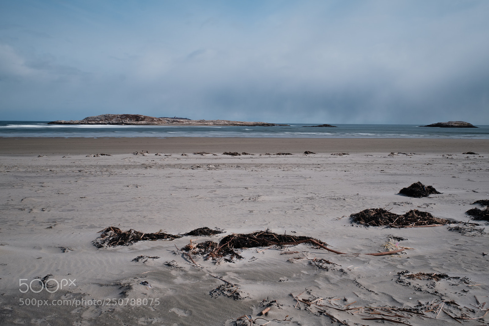 Fujifilm X-Pro2 sample photo. Popham beach photography