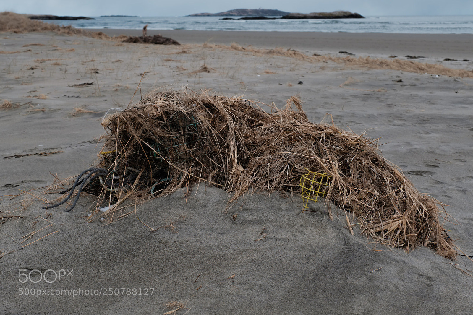 Fujifilm X-Pro2 sample photo. Popham beach photography