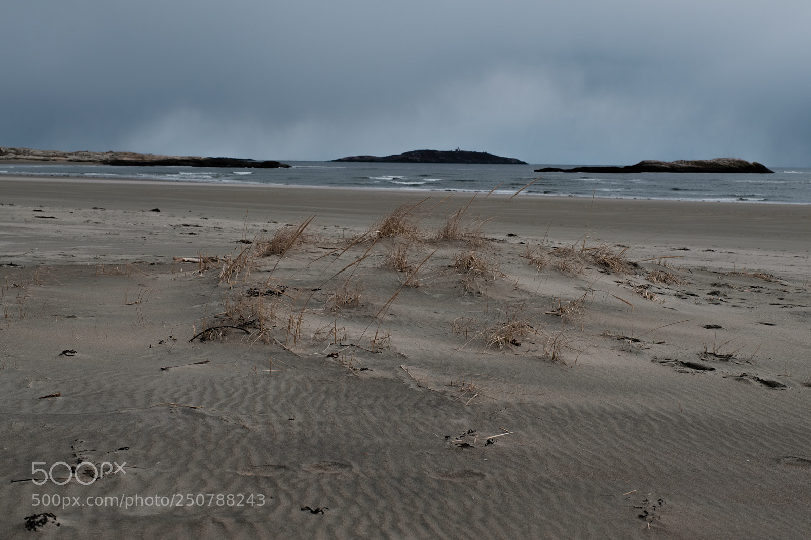 Fujifilm X-Pro2 sample photo. Popham beach photography
