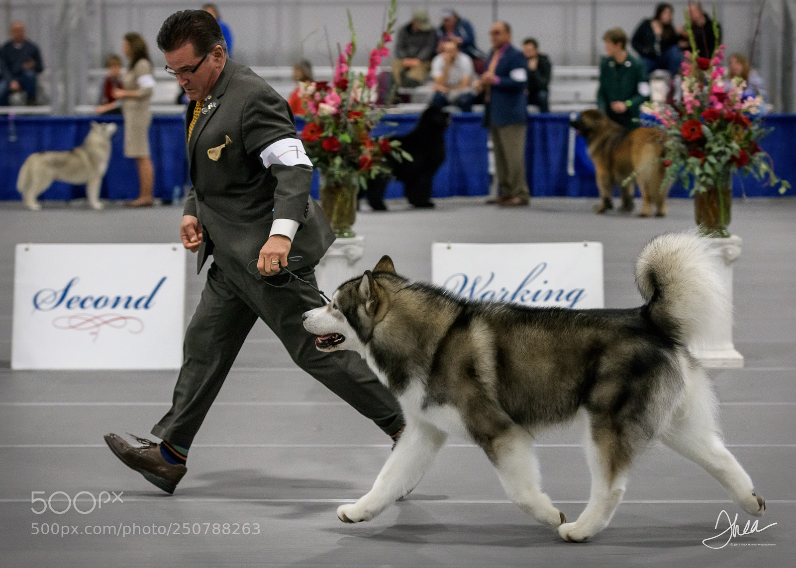 Nikon D850 sample photo. Cloud and mike on photography