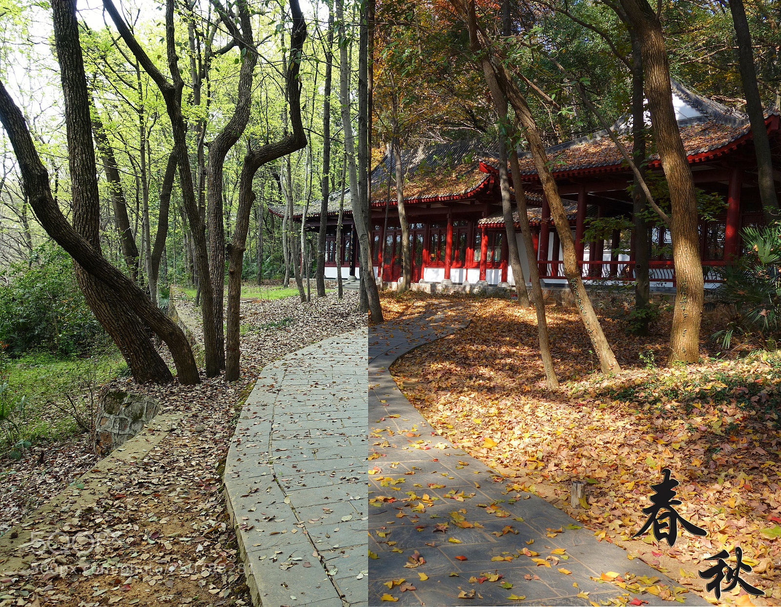Sony Cyber-shot DSC-RX100 sample photo. Spring&autumn photography