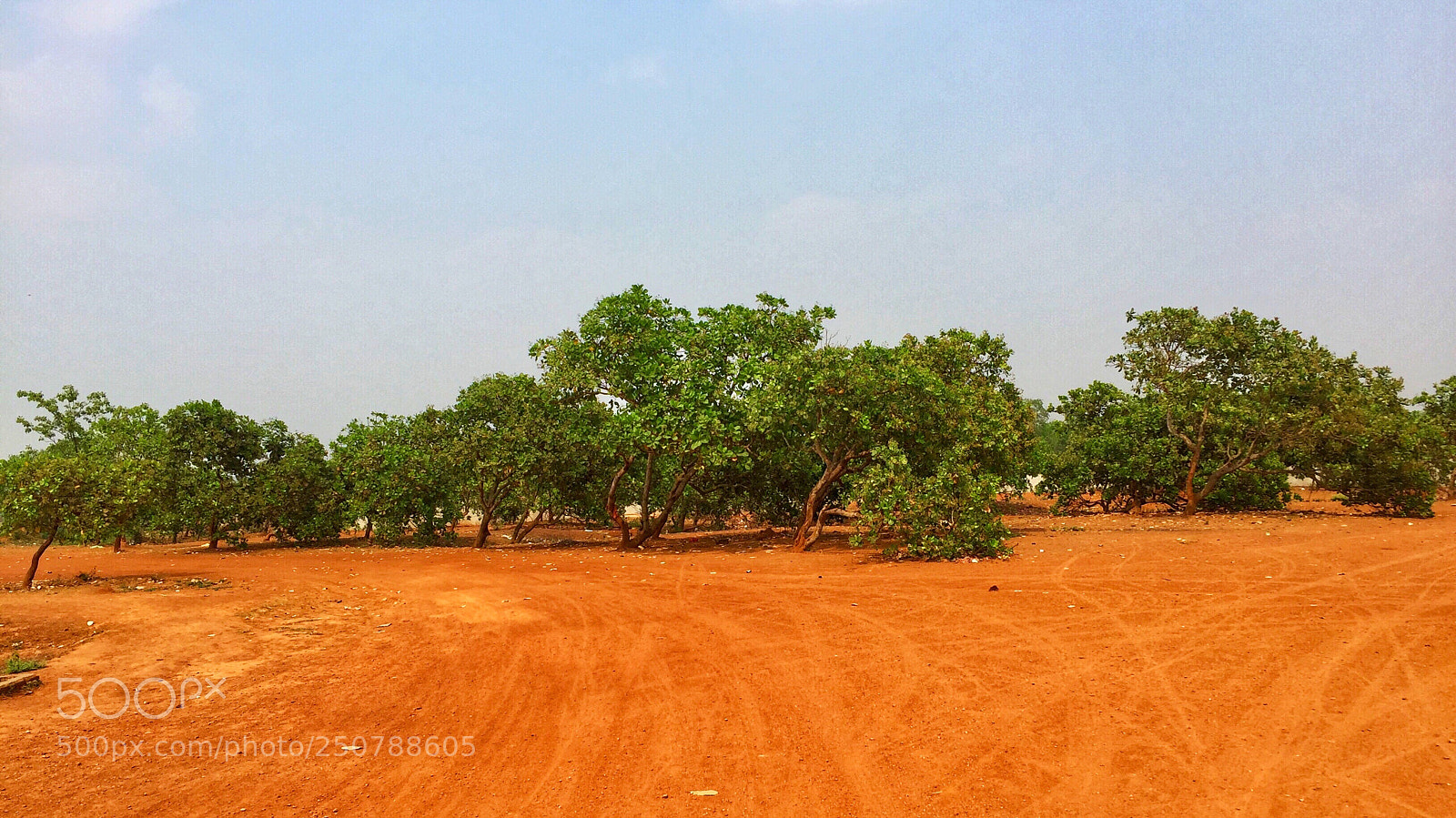 Apple iPhone 6 sample photo. Untitled photography