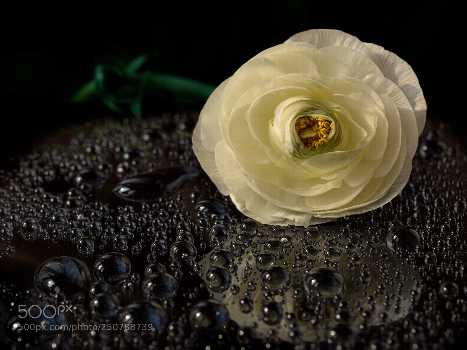Nikon D7100 sample photo. Why worry? photography