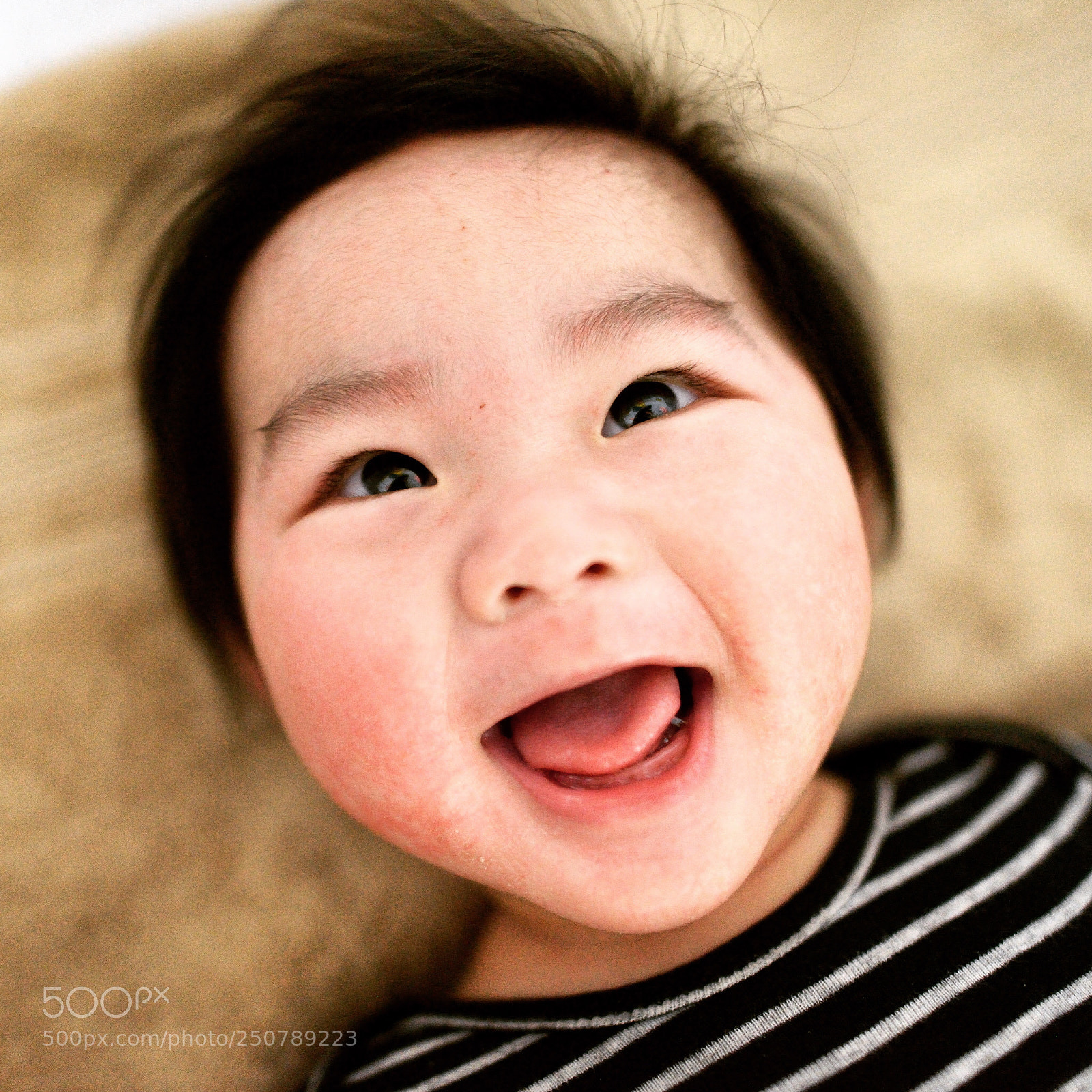 Nikon D800 sample photo. Untitled photography