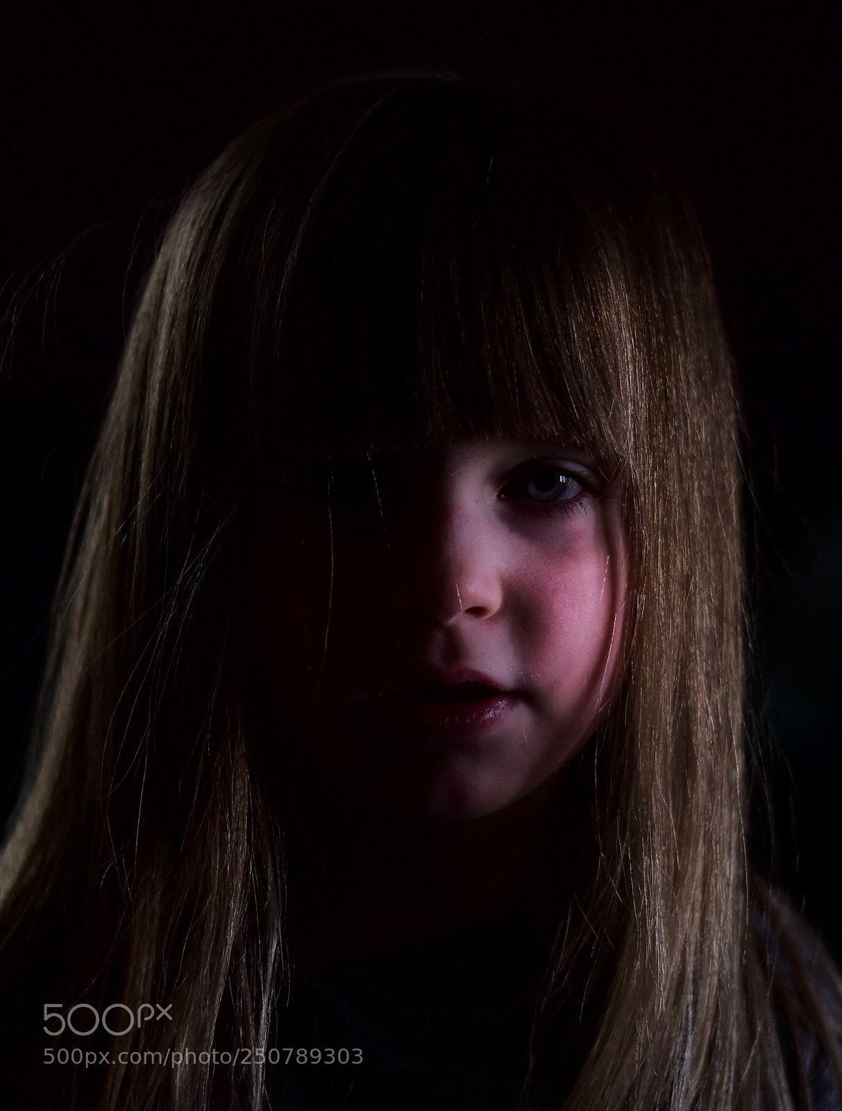 Nikon D5600 sample photo. Hiding in the shadows photography