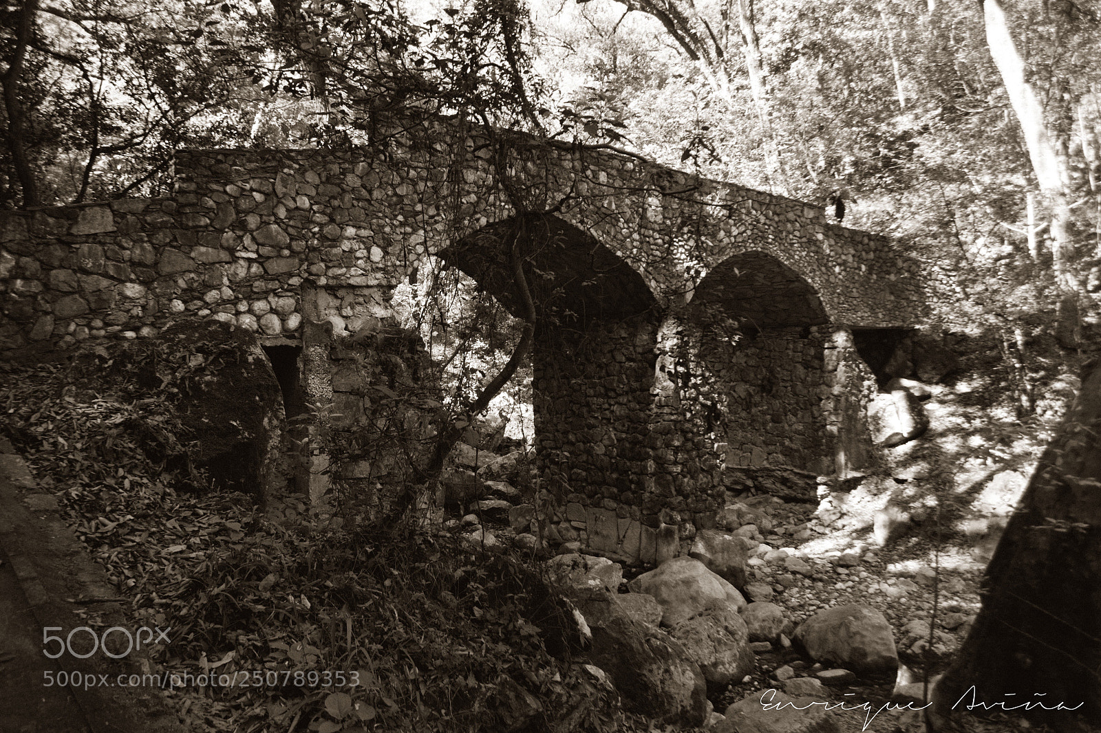 Nikon D3100 sample photo. Under the bridge  photography