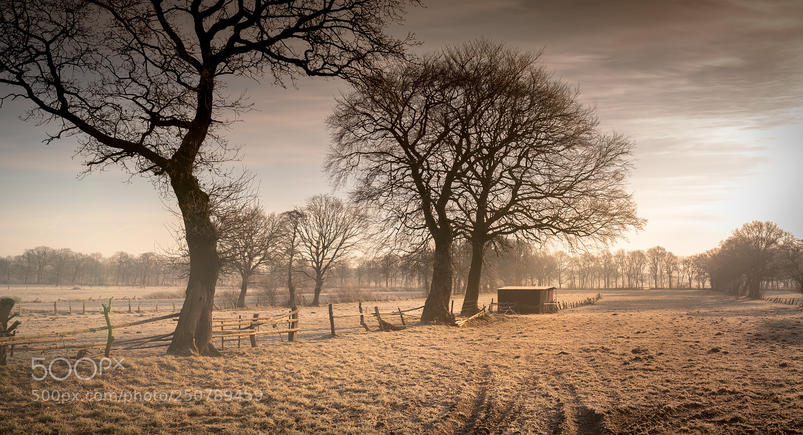 Nikon D610 sample photo. Back to work photography