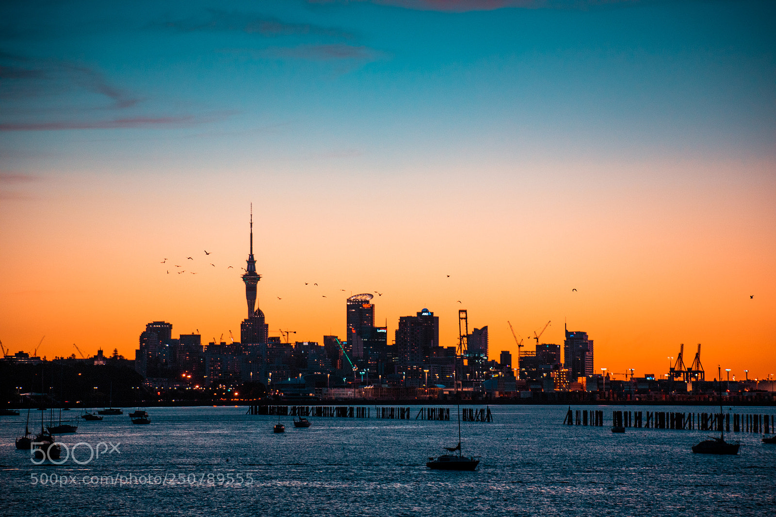 Canon EOS 5D Mark IV sample photo. Auckland city - autumn photography