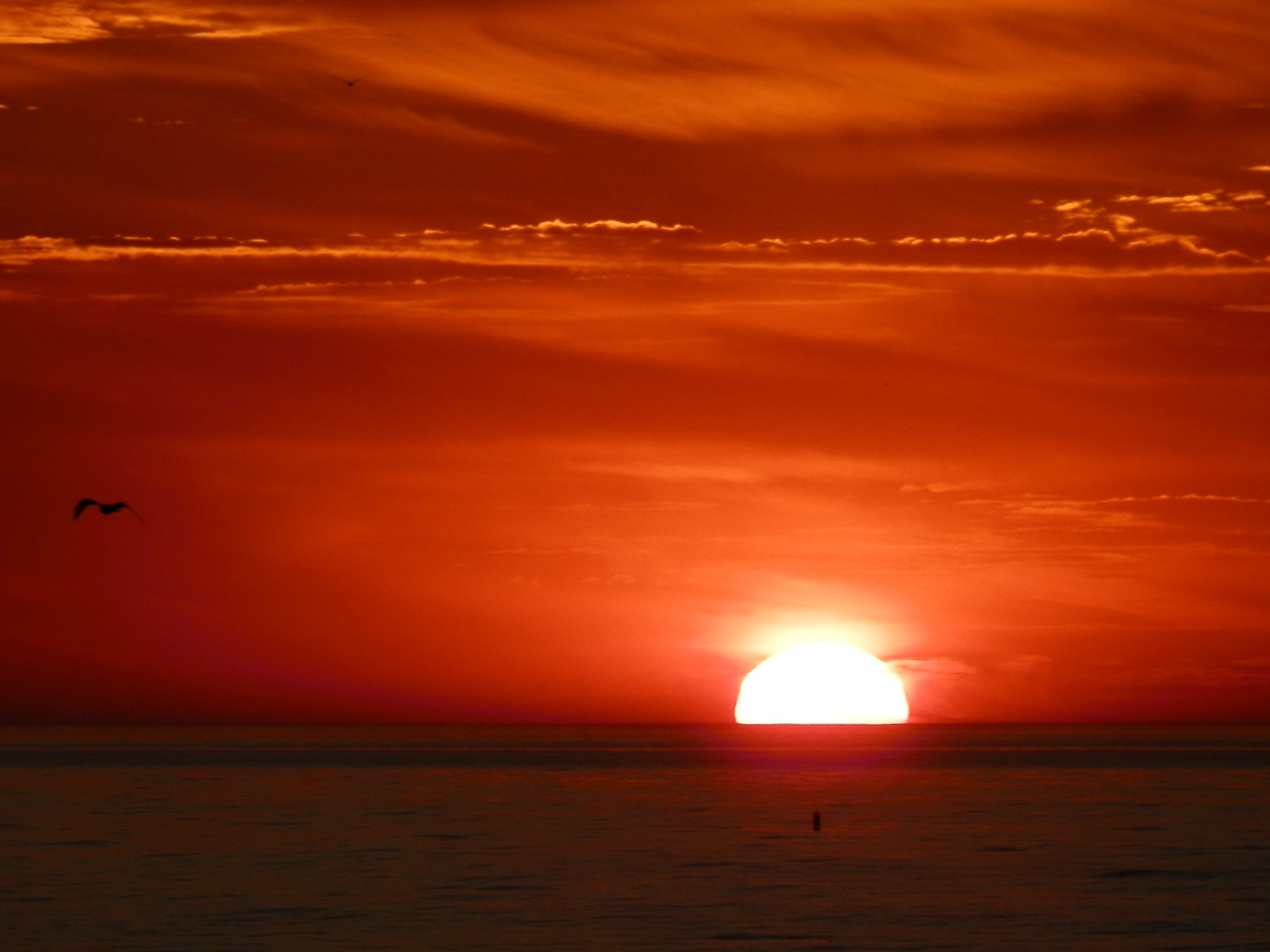 Olympus SP-610UZ sample photo. Bright orange sunrise photography