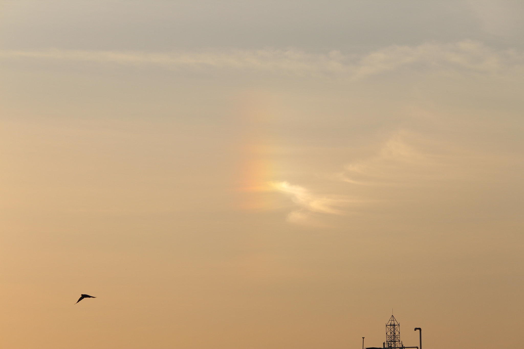 Canon EF-S 55-250mm F4-5.6 IS STM sample photo