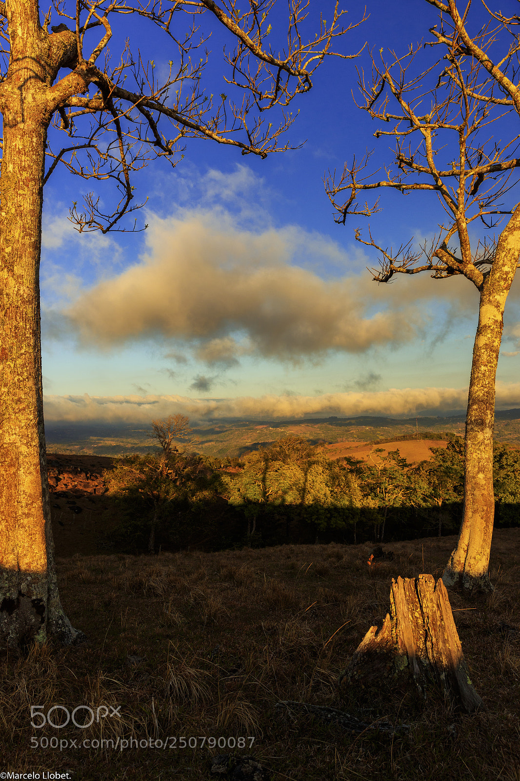 Canon EOS-1D X Mark II sample photo. Piedades sur de san photography