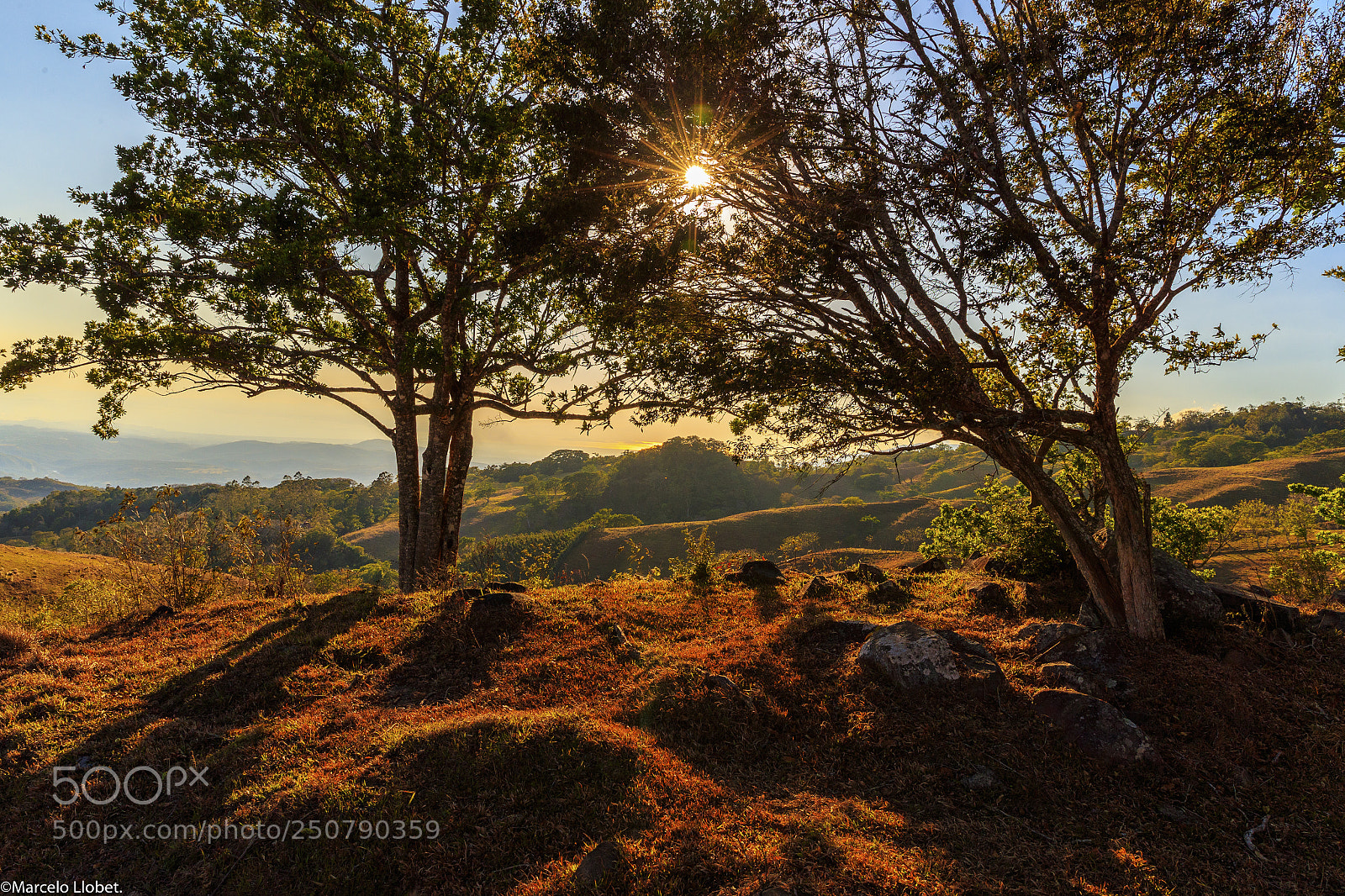 Canon EOS-1D X Mark II sample photo. Piedades sur de san photography