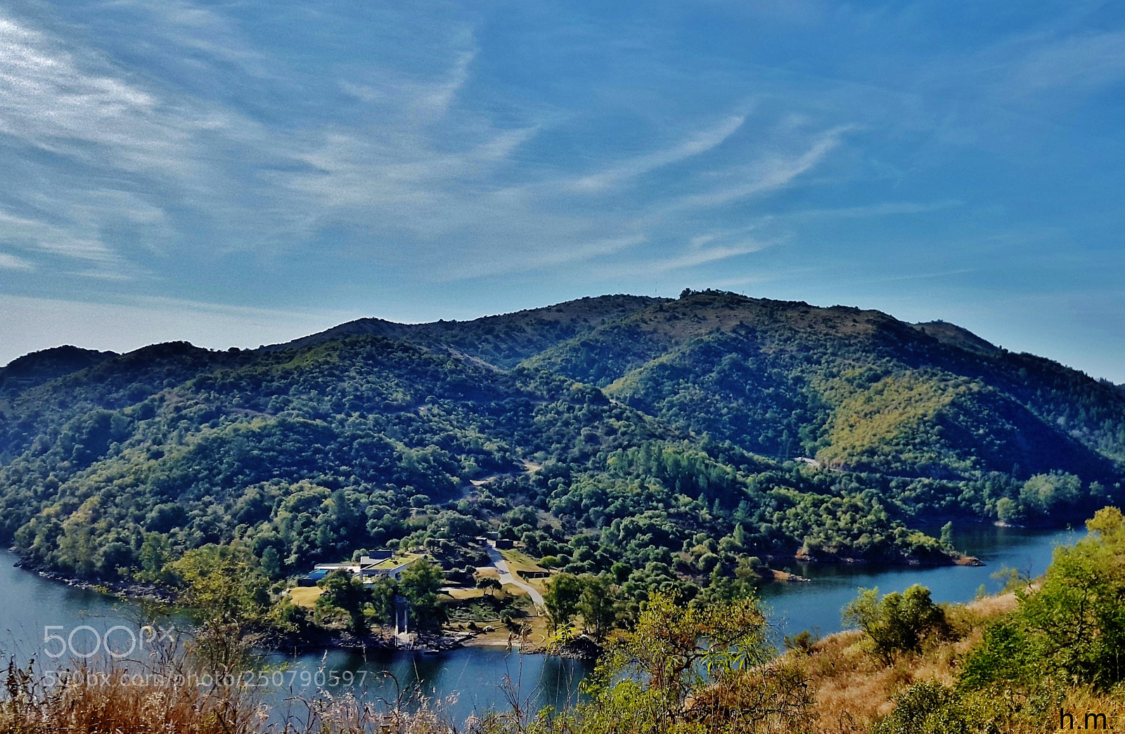 Samsung Galaxy S5 sample photo. Bfcfdo photography