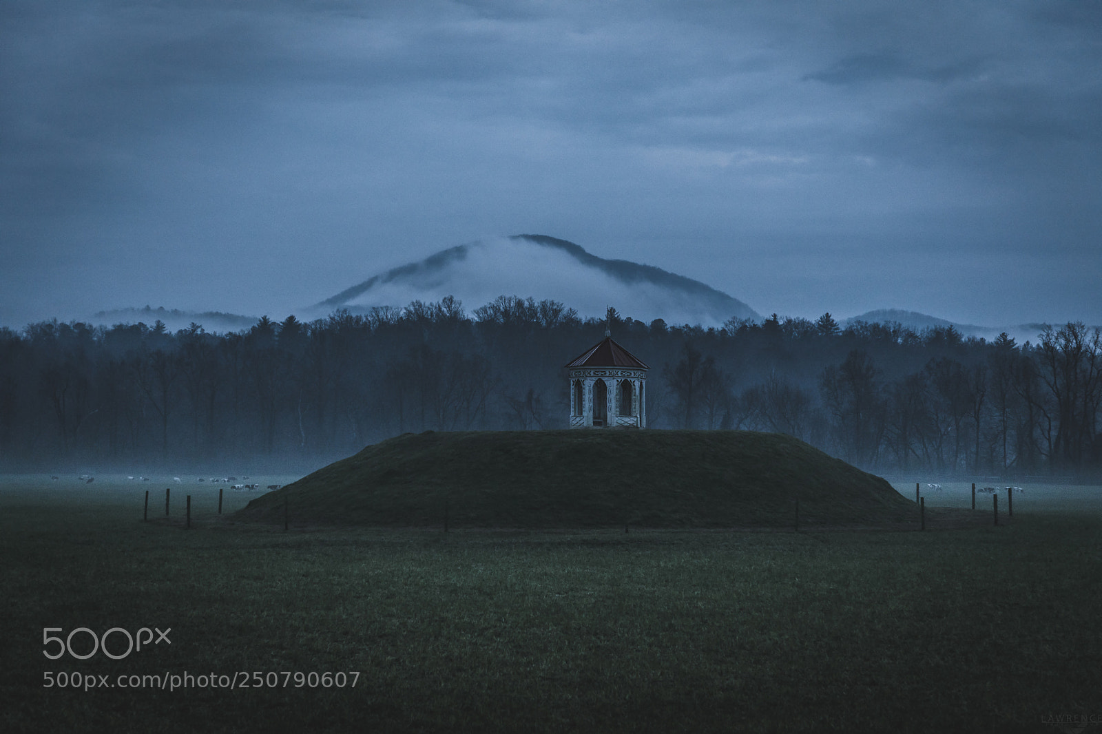 Canon EOS 5D Mark IV sample photo. Misty field of lover's photography